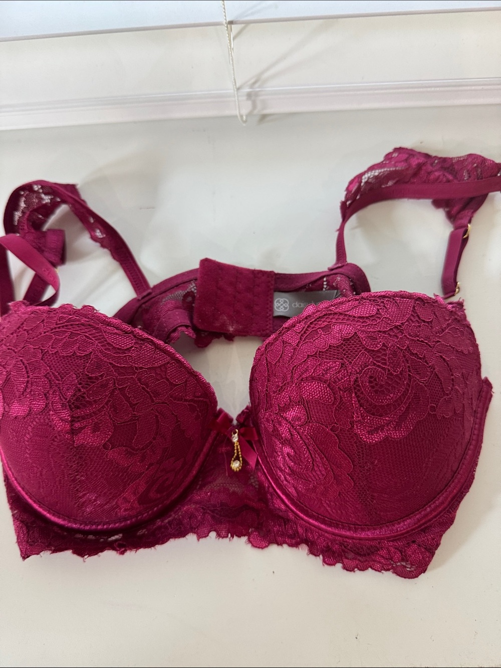 Daisy Fuentes Deep Raspberry Lace Push-Up Bra
